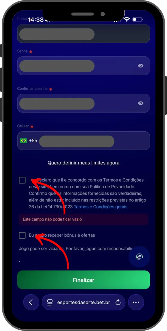 Tela final do cadastro: aceite dos Termos e botão Finalizar